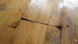 Your hardwood floor is water damaged – can you tell? Your hardwood floor is water damaged – can you tell?